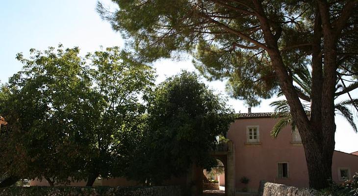 Masseria degli Ulivi