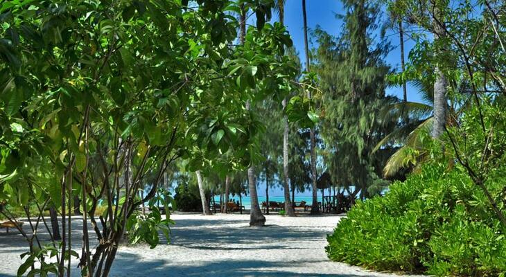 Jambiani White Sands Bungalows