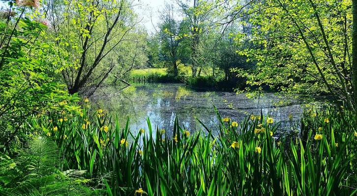 Bloedel Reserve