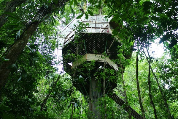 Finca Bellavista Treehouse Community