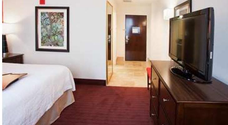 Hampton Inn & Suites Atlanta-Downtown