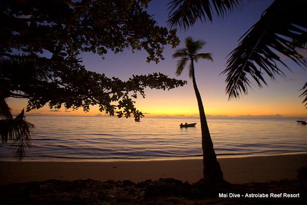 Mai Dive - Astrolabe Reef Resort