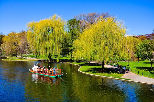 Boston Public Garden