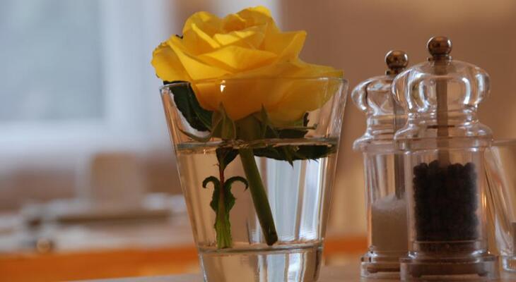 The Bed and Breakfast