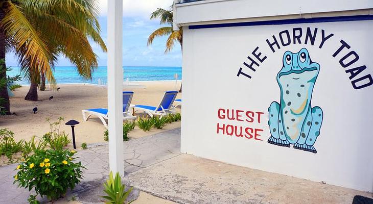 The Horny Toad Guest House