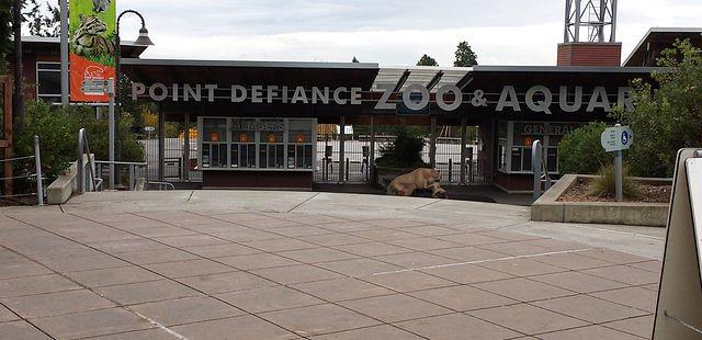 Point Defiance Zoo & Aquarium