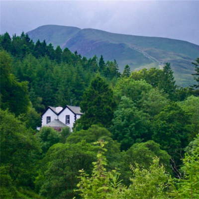 The Cottage in the Wood