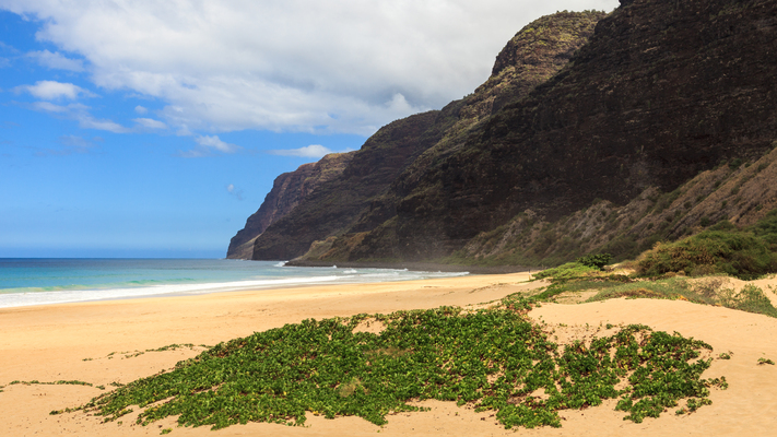 Polihale State Park
