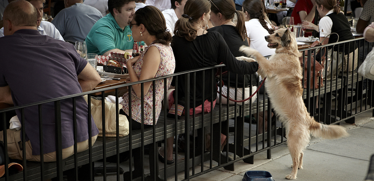 Hank's Oyster Bar Dupont Circle
