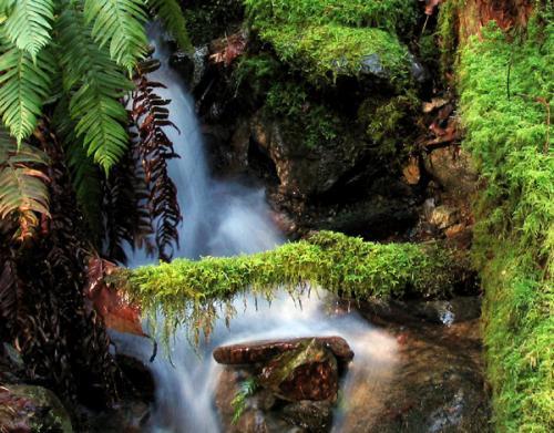 Goldstream Provincial Park
