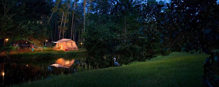 The Campsites at Disney's Fort Wilderness Resort