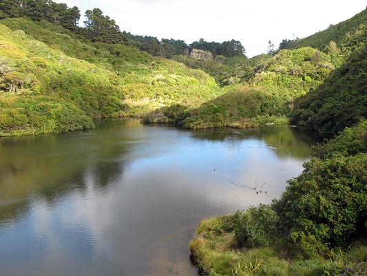 ZEALANDIA Ecosanctuary