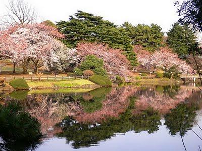 Shinjuku Gyoen National Garden