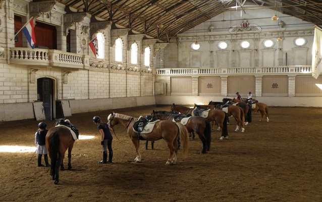 Levend Paardenmuseum De Hollandsche Manege
