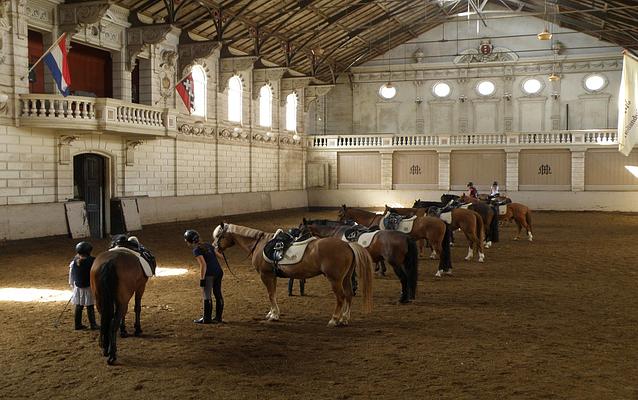 Levend Paardenmuseum De Hollandsche Manege