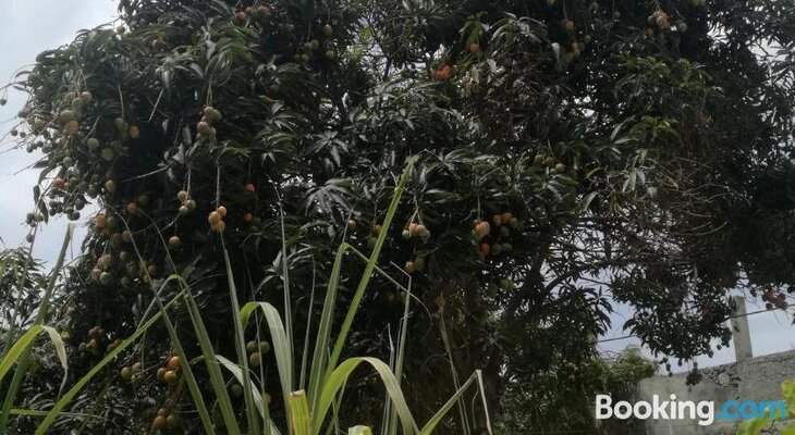 B & B Aldeia Jerome