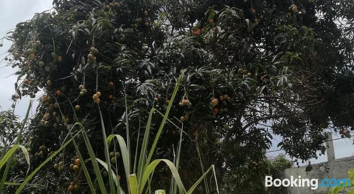 B & B Aldeia Jerome