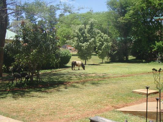 Kilimanjaro Country Lodge