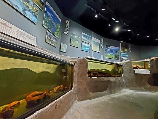Suncor Energy Fluvarium