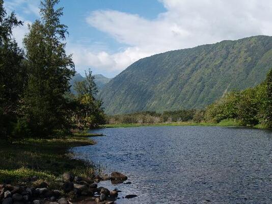 Waipio Wayside B&B