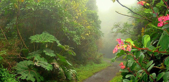 Parque Nacional Braulio Carrillo