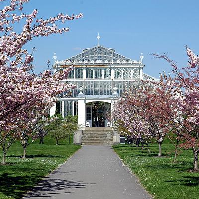 Royal Botanic Gardens, Kew