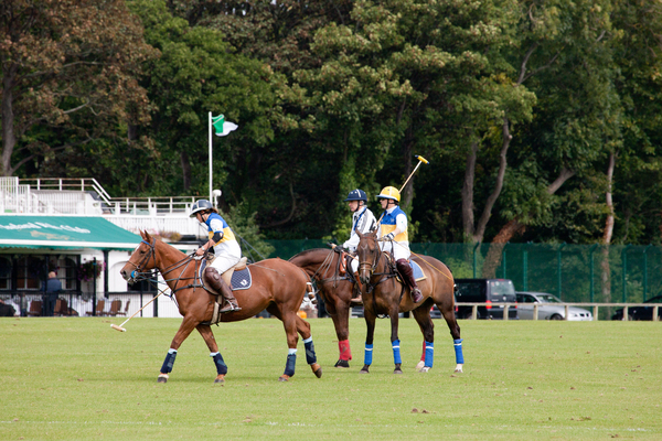Phoenix Park