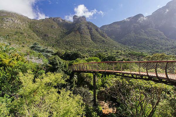 Kirstenbosch National Botanical Garden