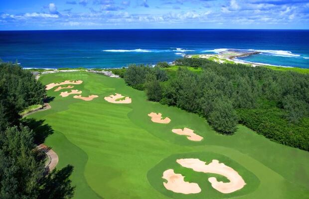 Turtle Bay Golf