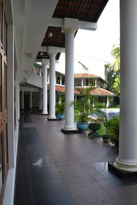 Palms Mount Lavinia