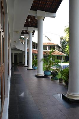 Palms Mount Lavinia