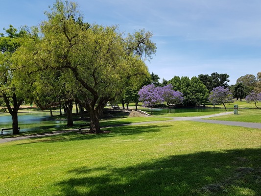 Rymill Park