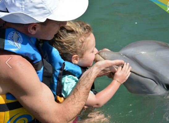 Dolphin Discovery Grand Cayman