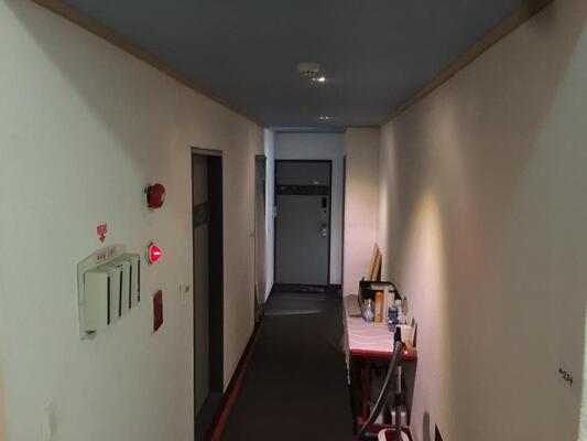 Backpackers in Jeju