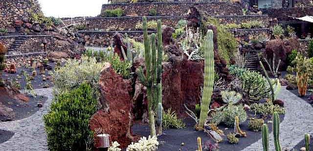 Jardin de Cactus