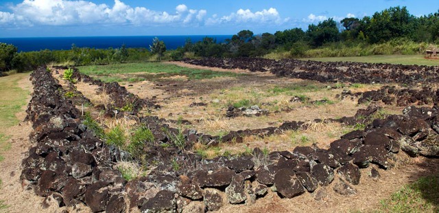 Pu???u O Mahuka Heiau State Monument