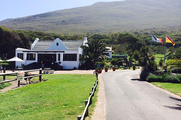 Cape Point Ostrich Farm