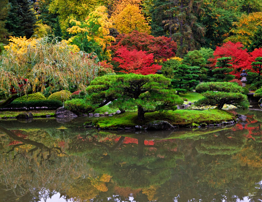Washington Park Arboretum