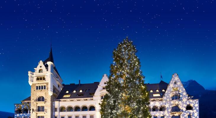 Park Hotel Vitznau