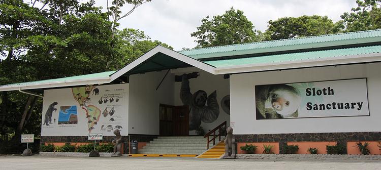 Sloth Sanctuary of Costa Rica