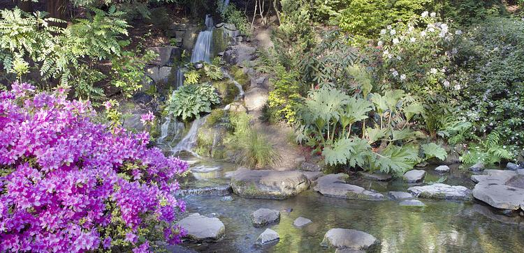 Crystal Springs Rhododendron Garden