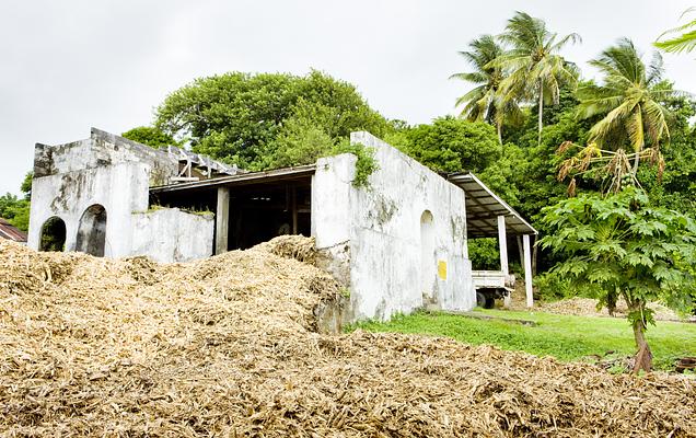 River Antoine Estate Rum Distillery