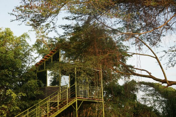 Yellow Haven Lodge