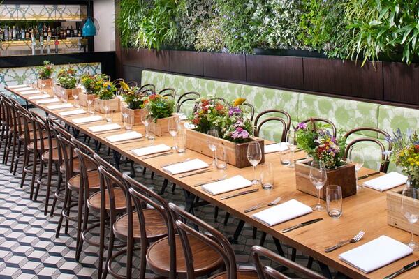 The Botanical