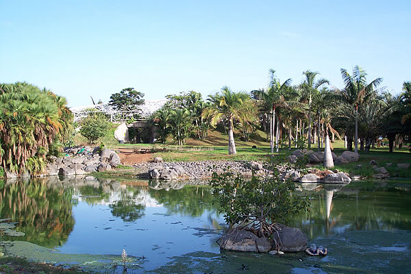 Palmetum Santa Cruz Jardin Botanico