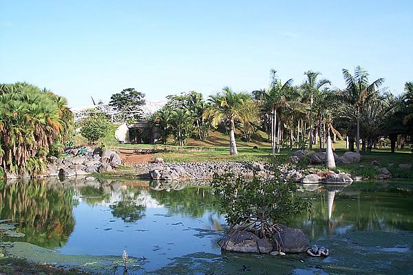 Palmetum Santa Cruz Jardin Botanico