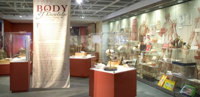 Warren Anatomical Museum