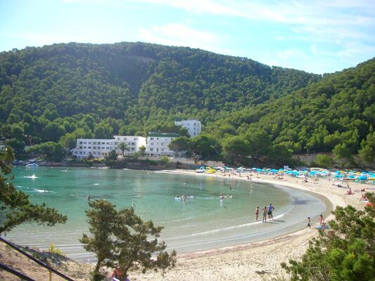 Hotel Apartamentos El Pinar