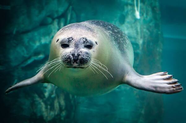 Assiniboine Park Zoo