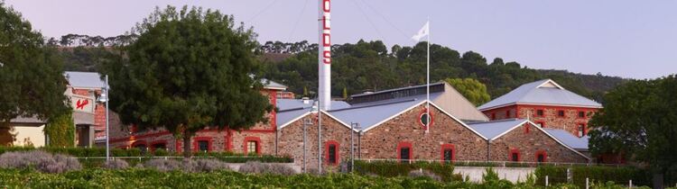 Penfolds Magill Estate Cellar Door